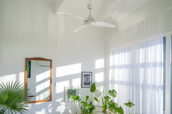 Canicule : 12 astuces à petit prix pour garder sa maison fraîche dès ce week-end 2026