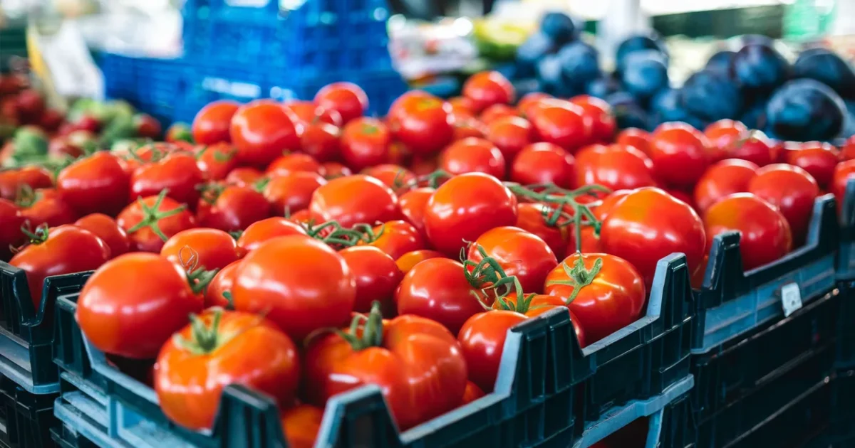 Tomates à 7,90 euros le kilo, la sécheresse fait grimper les prix des fruits et légumes