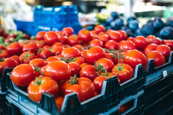 Tomates à 7,90 euros le kilo, la sécheresse fait grimper les prix des fruits et légumes
