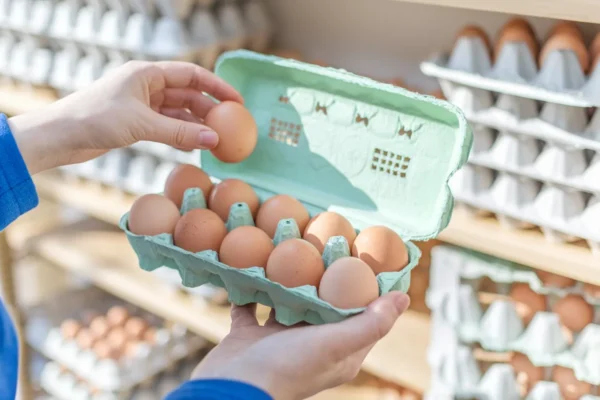 Œufs au supermarché, l’Anses explique comment les choisir selon la date et le calibre
