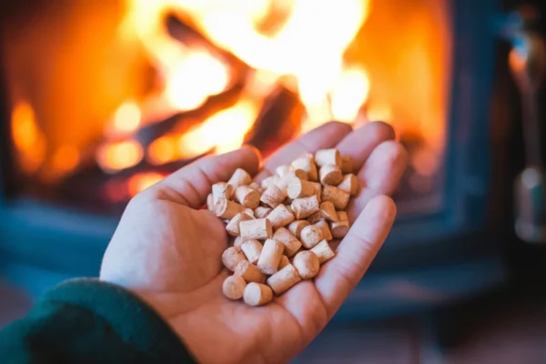 Chauffage 2026, 7 astuces pour économiser jusqu’à 300 euros sur bois, granulés ou fioul