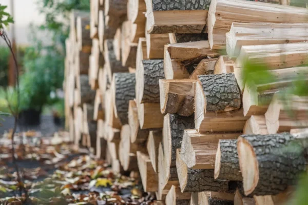 Affouage, comment payer vos stères de bois de chauffage moins cher dans votre commune