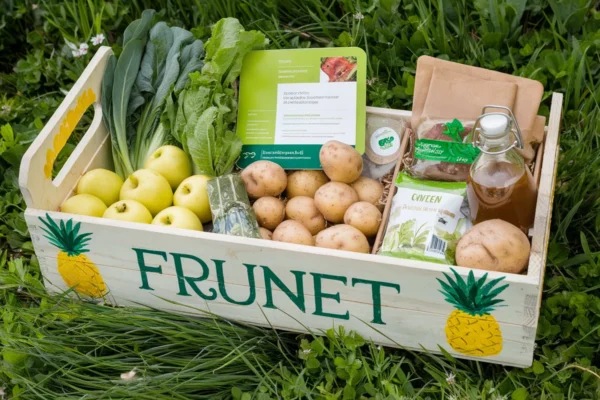 Aide alimentaire en France, 2,4 millions de personnes reçoivent un colis en 2024