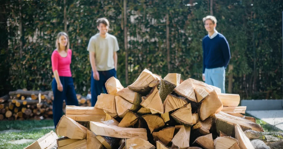 Bois de chauffage, jusqu’à 2 fois moins cher que l’électricité en 2026 pour ces foyers