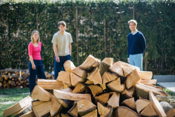 Bois de chauffage, jusqu’à 2 fois moins cher que l’électricité en 2026 pour ces foyers